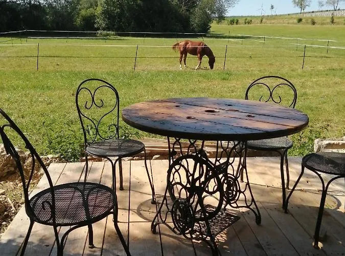 Quarter Horse 55