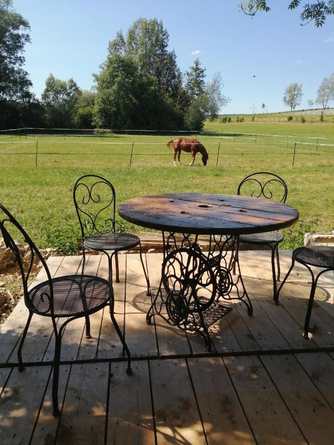 Quarter Horse 55 Vadelaincourt